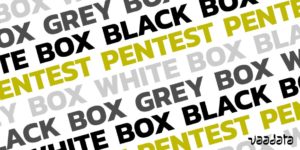 Black, Grey, White box Pentest