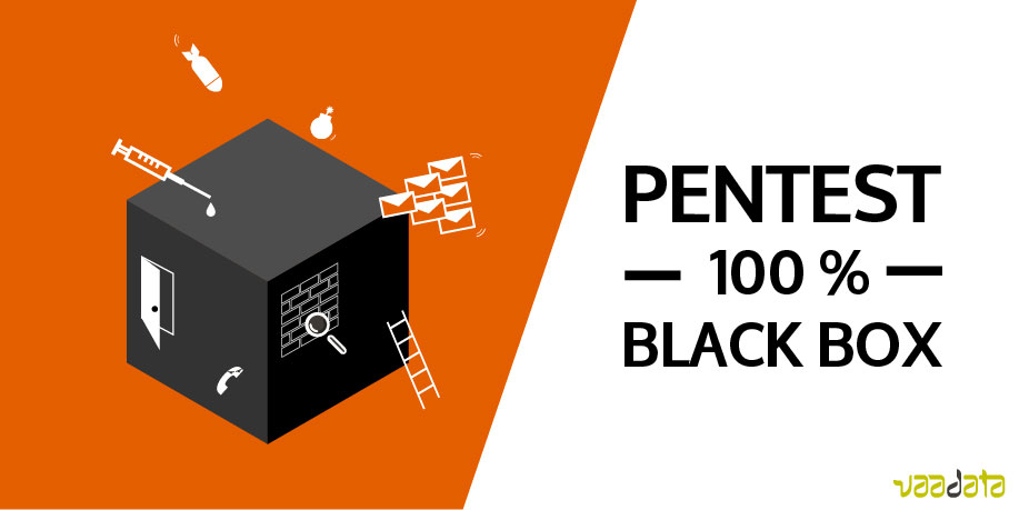 Black Box Pentest