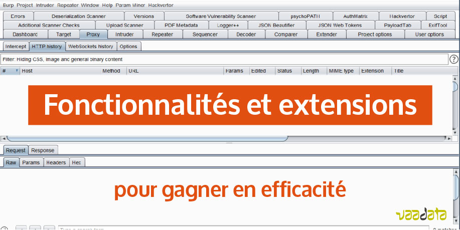 Fonctionnalités et extensions de Burp pour gagner en efficacité