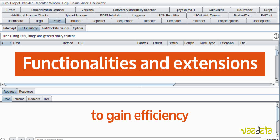 Functionalities and extensions of Burp Suite