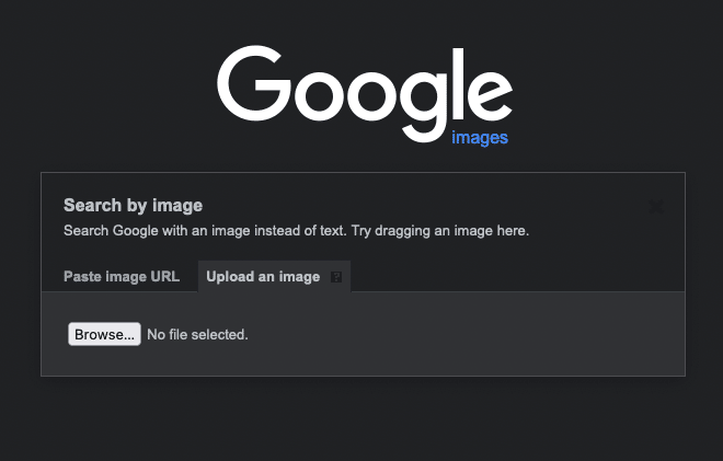 search with an image on google