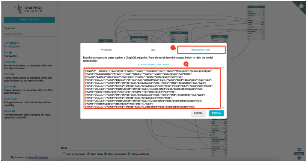 Import schéma d'introspection sur GraphQL Voyager