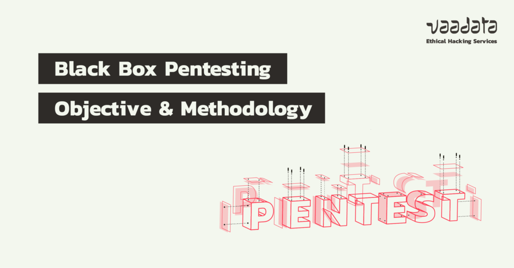Black Box Penetration Testing: Objective, Methodology and Use Cases