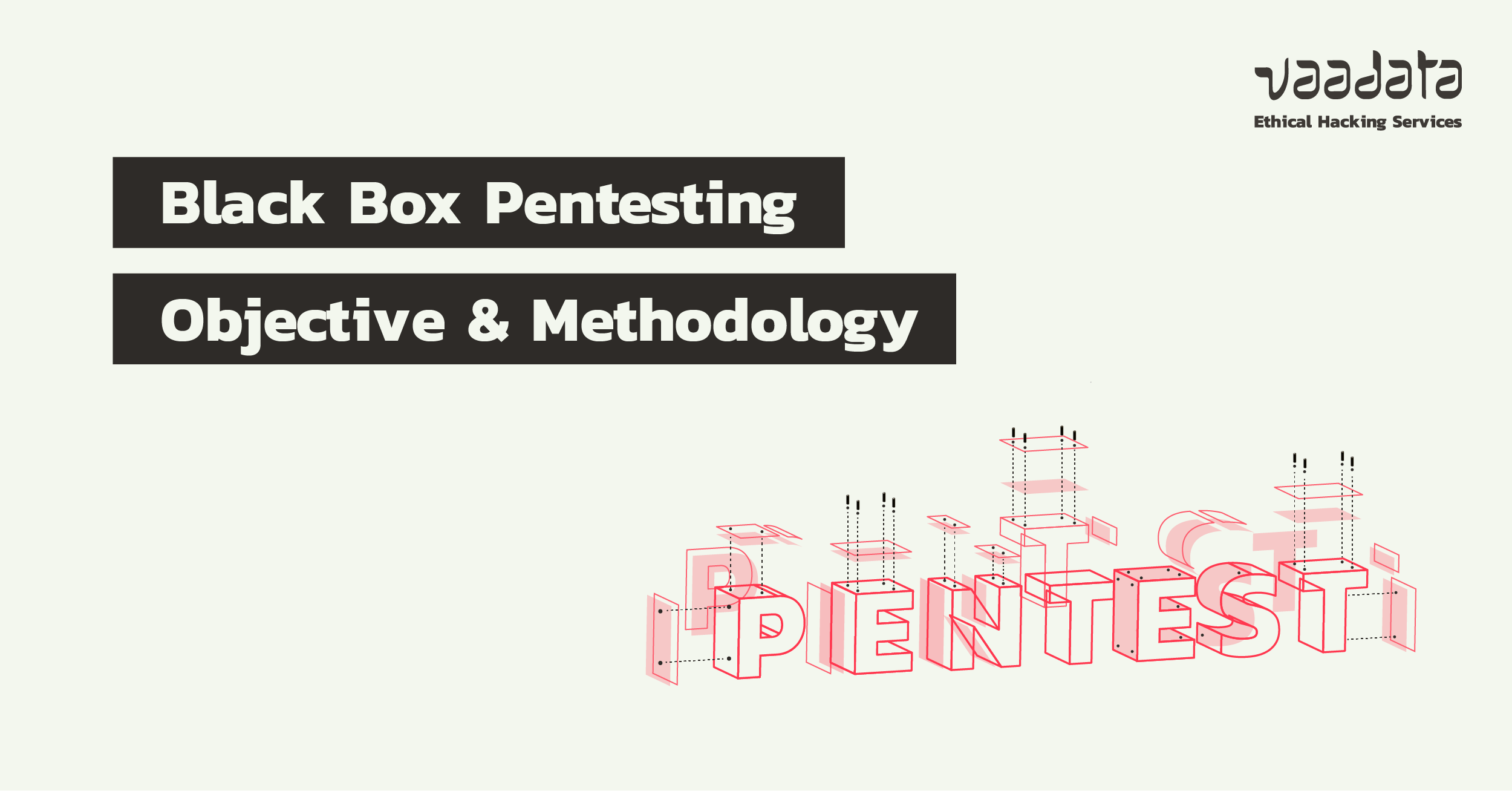Black Box Pentesting Objective, Methodology and Use Cases