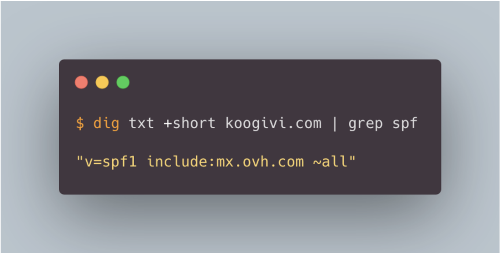 SPF policy for the koogivi.com domain