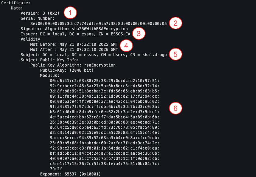 Key information from a certificate