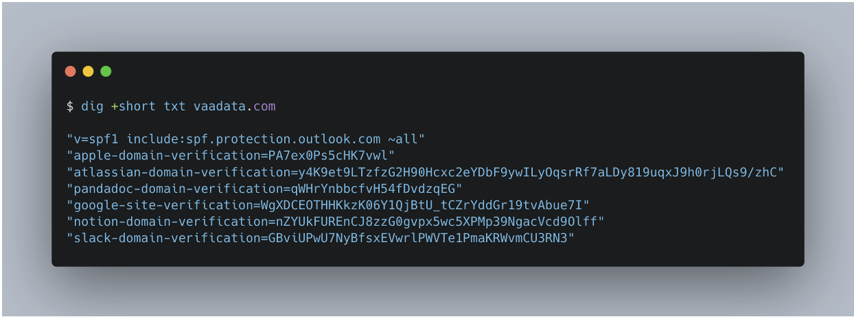 TXT record of the www.vaadata.com domain