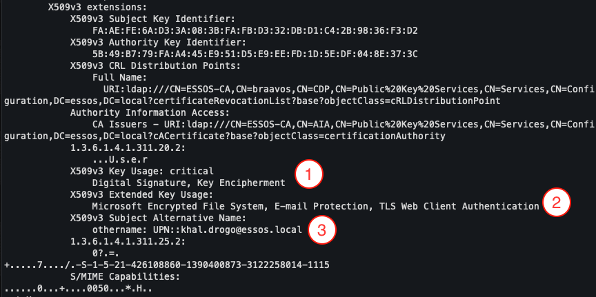 Certificate extensions