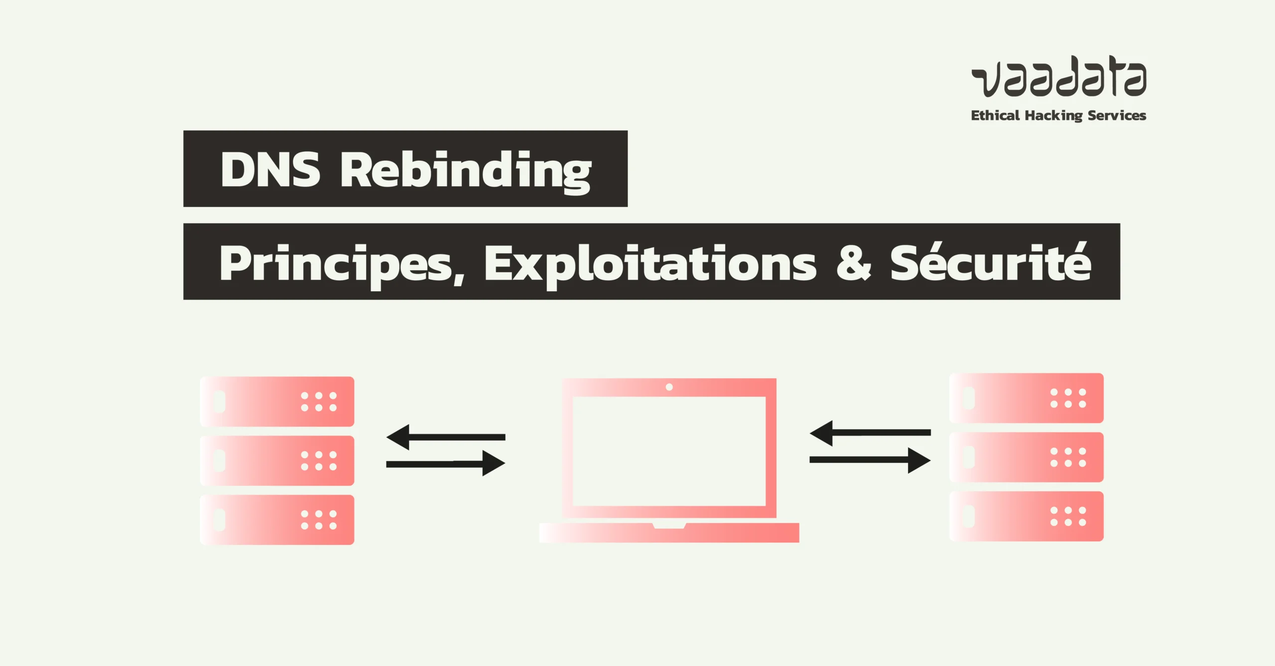 Infographic title: DNS Rebinding — Principles, Exploitations & Sécurité; appears to explain the topic of DNS rebinding and security implications (logo: Vadata Ethical Hacking Services).
